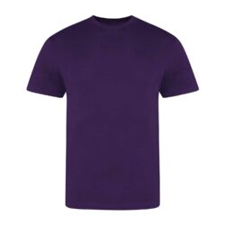Awdis Just Ts The 100 T Purple T Shirt Jt100