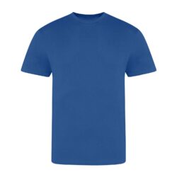 Awdis Just Ts The 100 T Royal Blue T Shirt Jt100