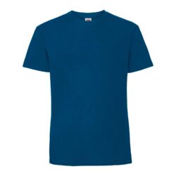 Fruit Of The Loom Iconic 195 Ringspun Premium Mountain Blue T Shirt Ss422 Mountainblue